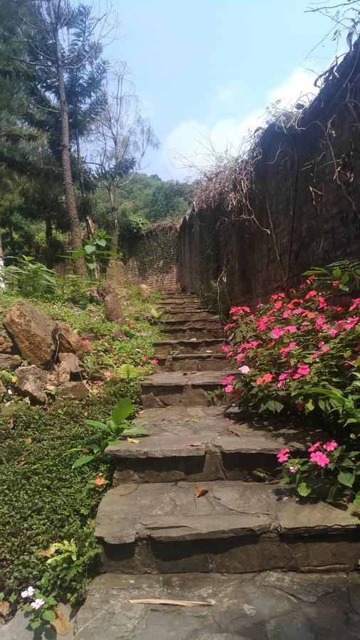 Bavi Homestead บาหวี่ ภายนอก รูปภาพ