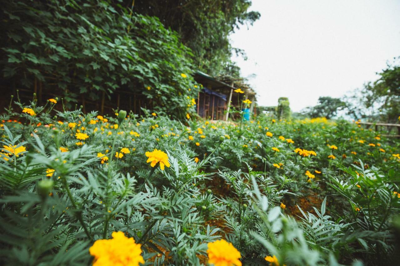 Bavi Homestead บาหวี่ ภายนอก รูปภาพ