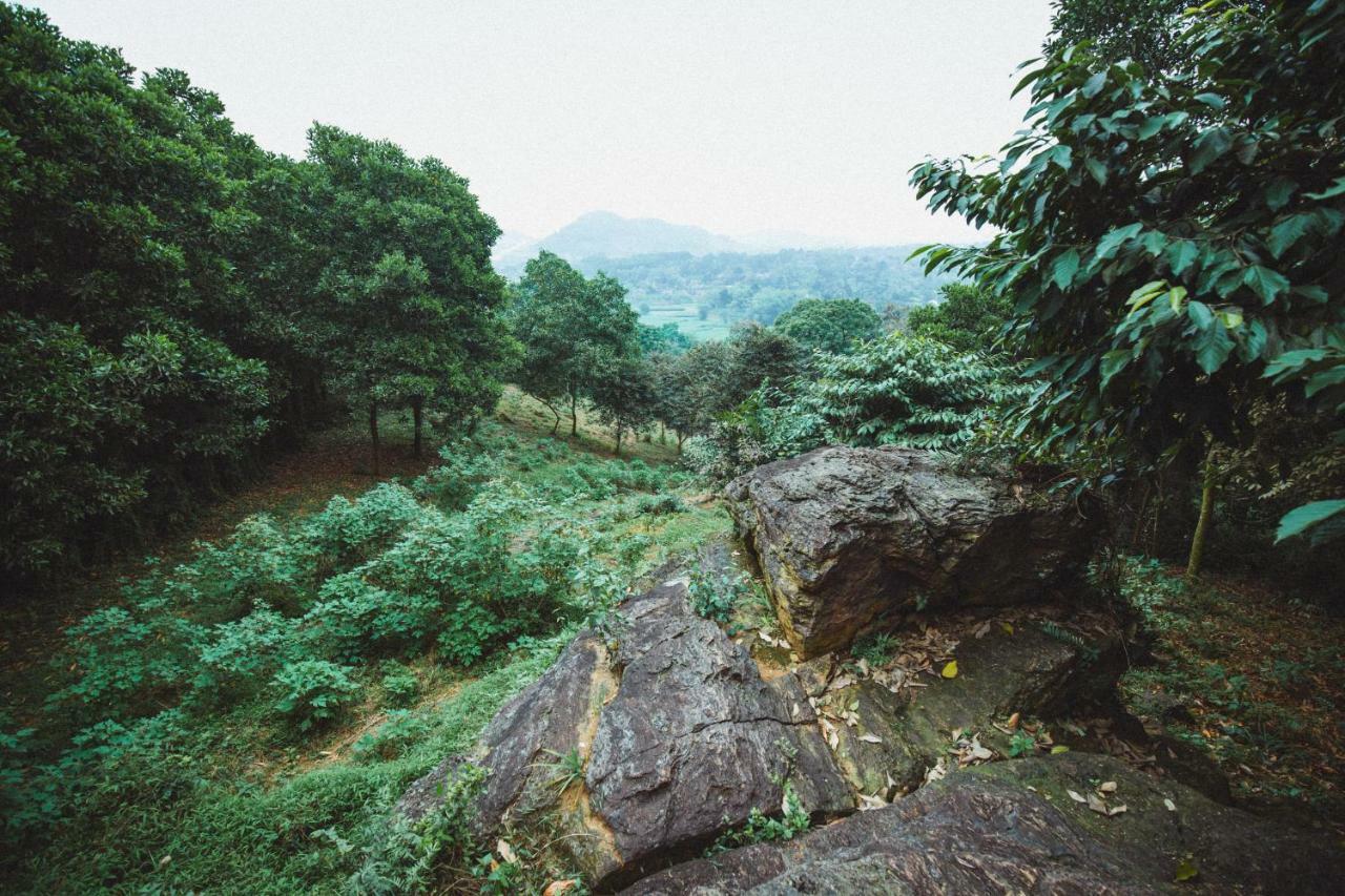 Bavi Homestead บาหวี่ ภายนอก รูปภาพ