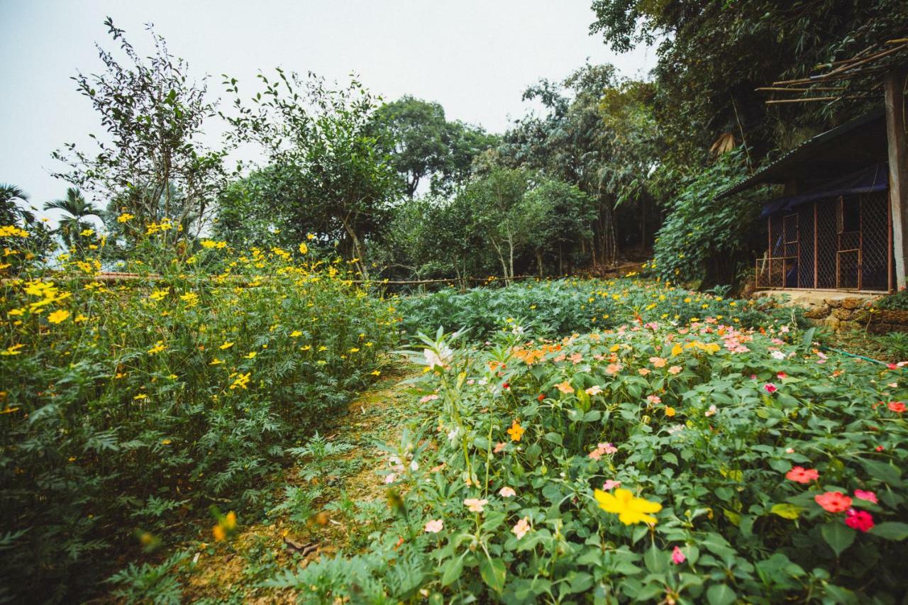 Bavi Homestead บาหวี่ ภายนอก รูปภาพ